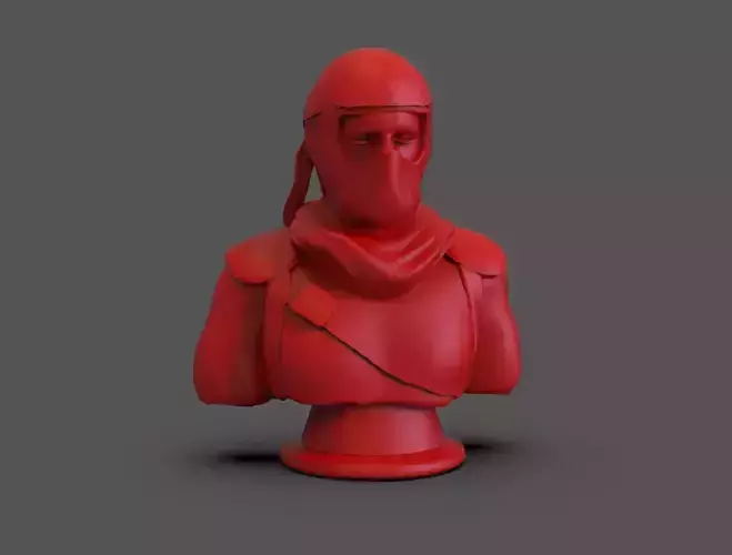 Ninja Bust