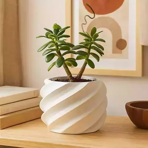 Modern Plant Pot With Drainage No Supports