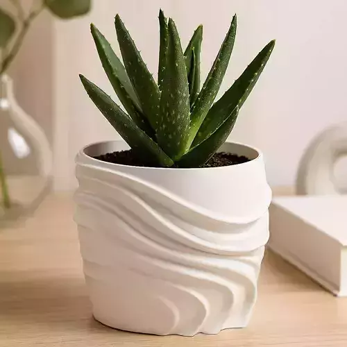 Modern Plant Pot With Drainage No Supports