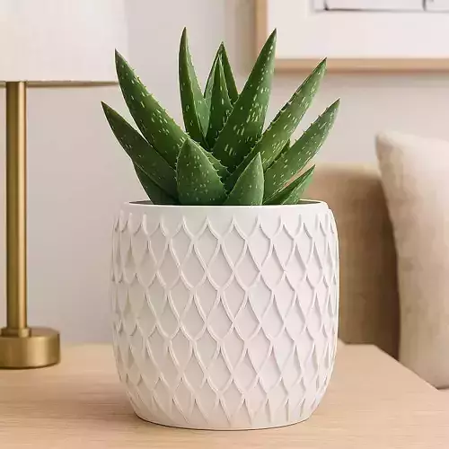Modern Plant Pot With Drainage No Supports