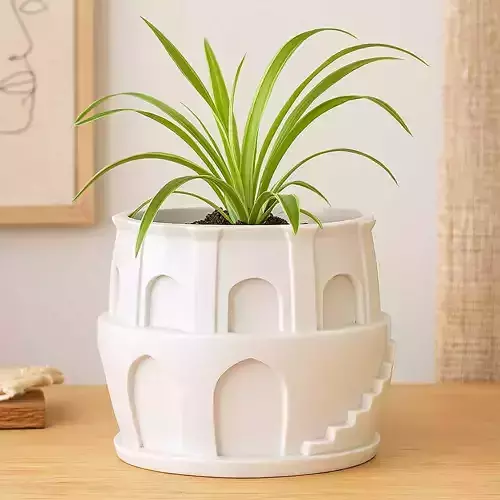 Tower Plant Pot With Drainage No Supports