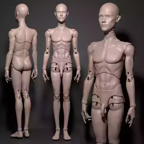 Model PR - Fashion Male BJD Doll STL OBJ 3D Print Model 3D model