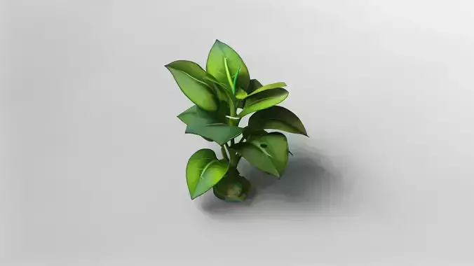 Realistic Green Plant 3D Model with Textures