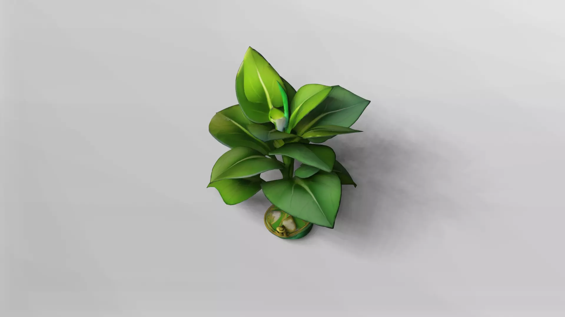 Realistic Green Plant 3D Model with Textures 3D model_3