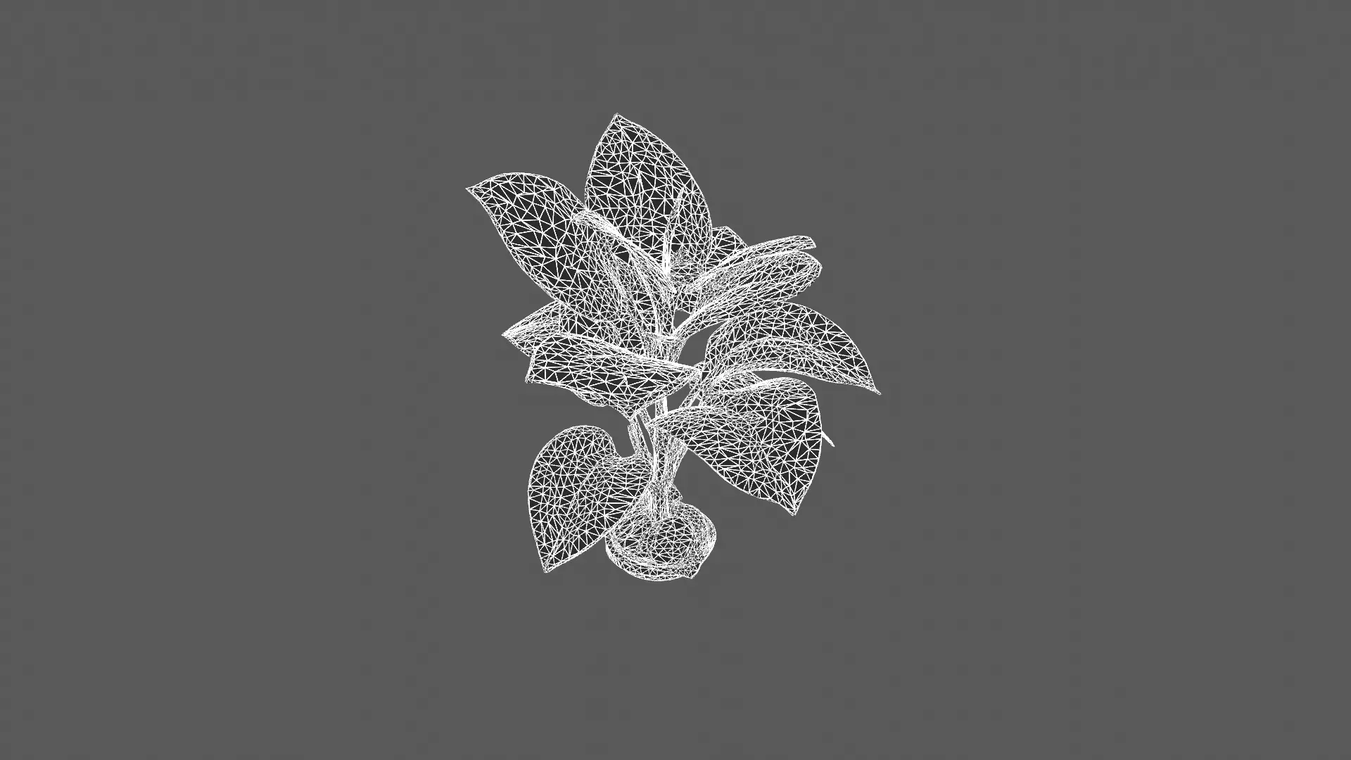 Realistic Green Plant 3D Model with Textures 3D model_5