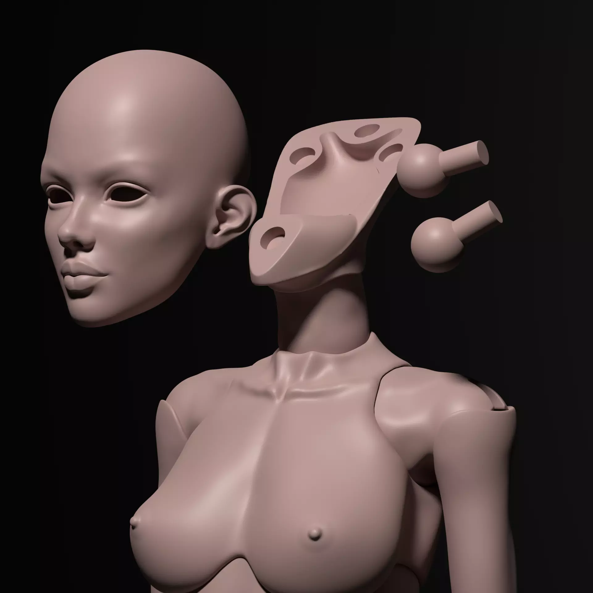 Model DS - Realistic Female BJD Doll STL OBJ 3D Print Model 3D model_7