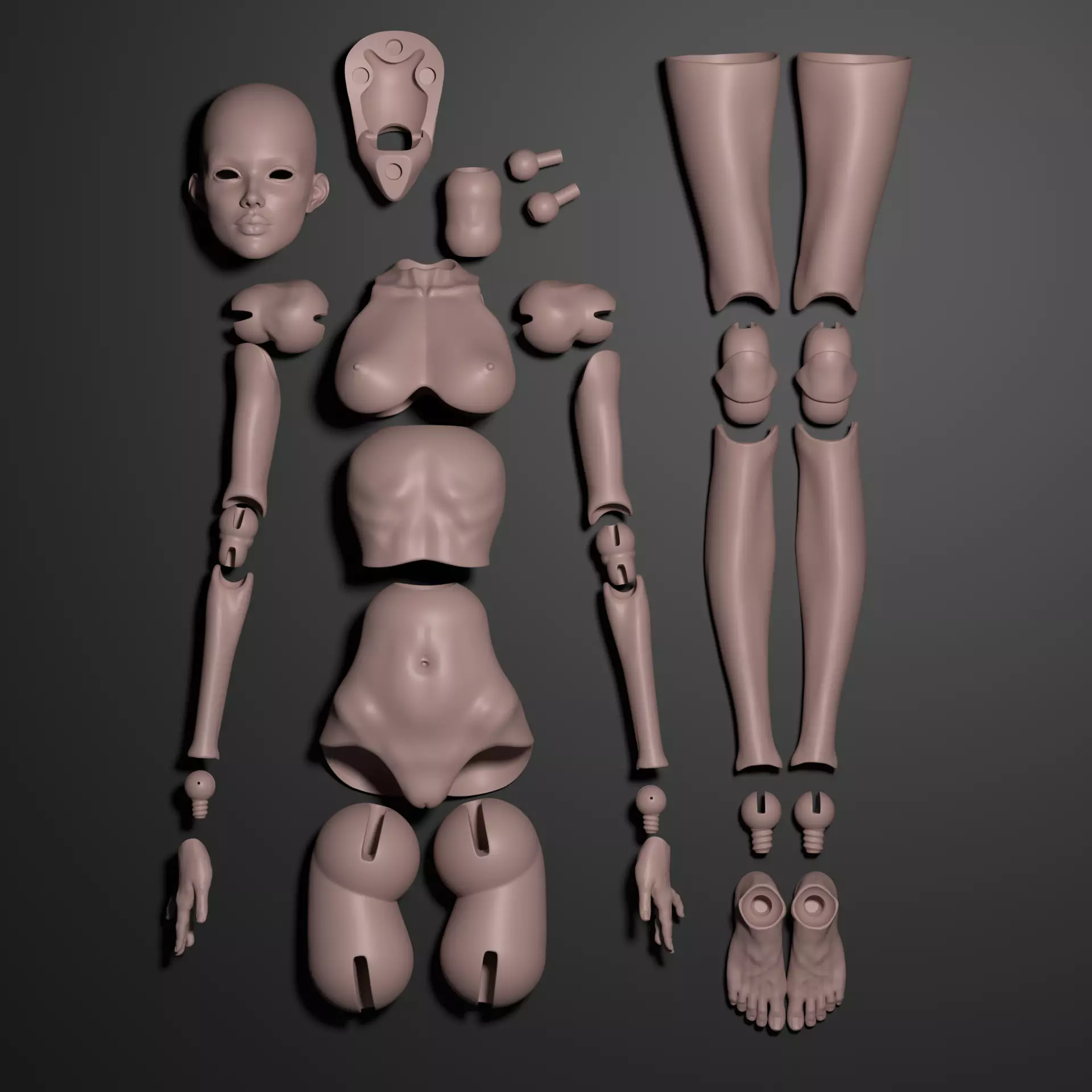 Model DS - Realistic Female BJD Doll STL OBJ 3D Print Model 3D model_8