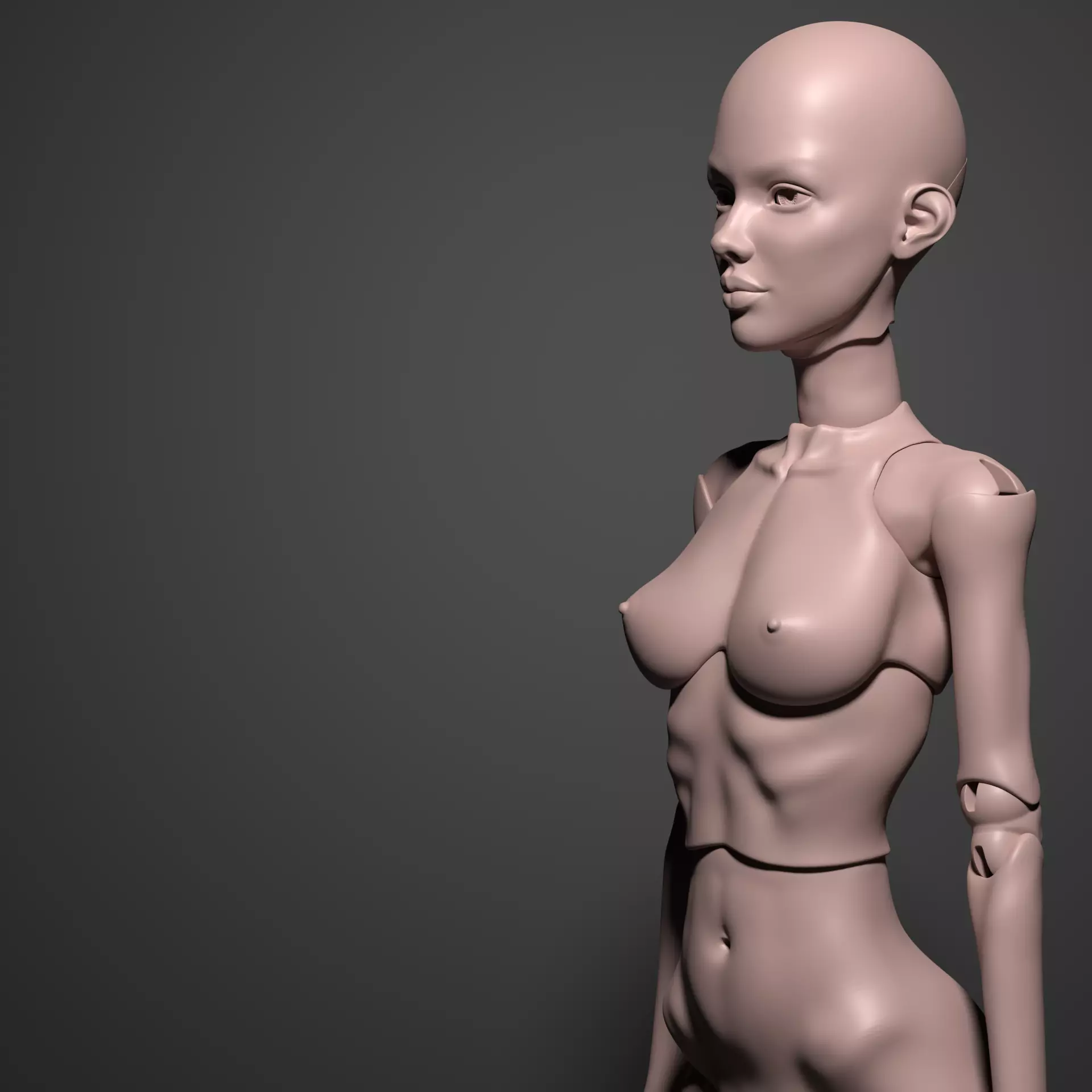 Model DS - Realistic Female BJD Doll STL OBJ 3D Print Model 3D model_3