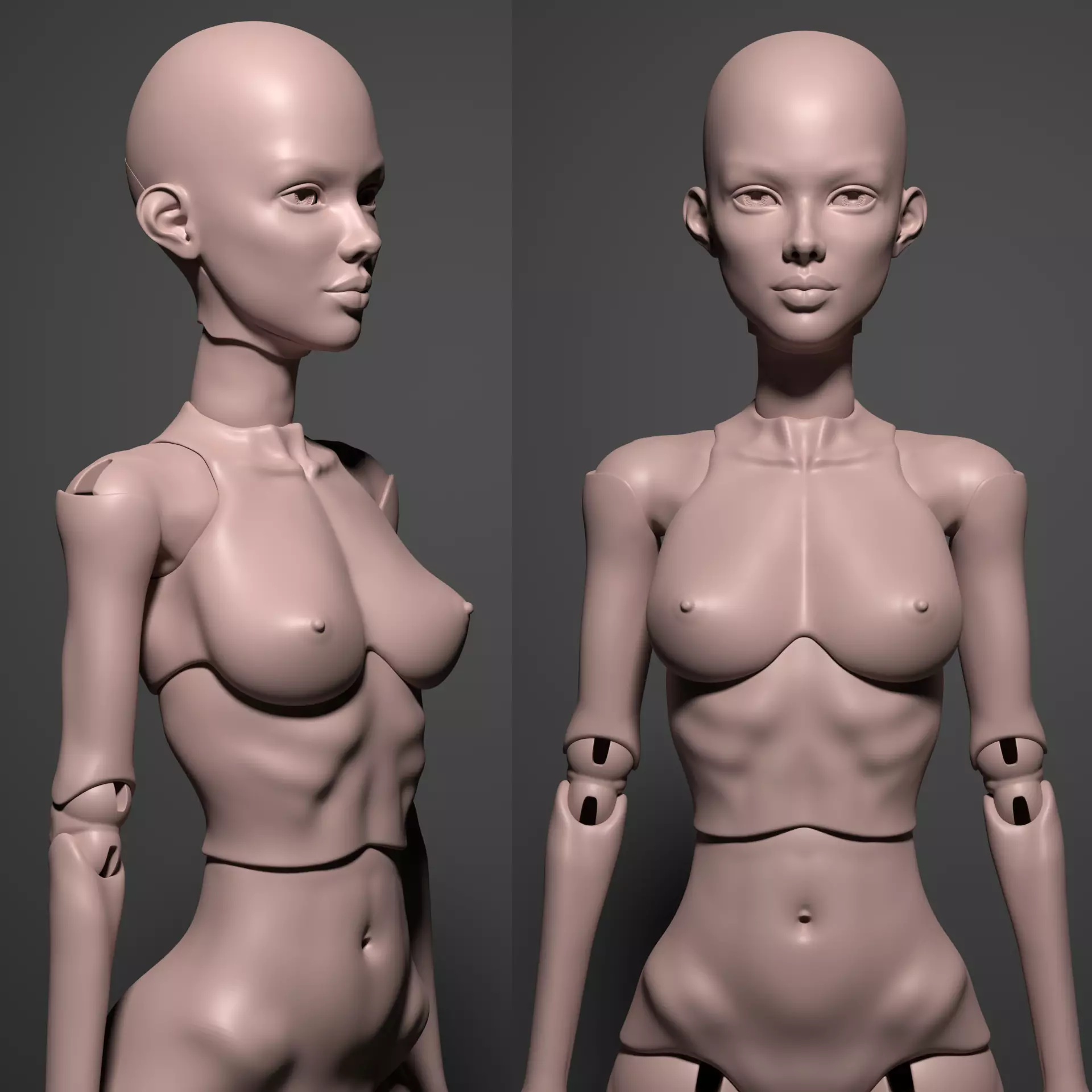 Model DS - Realistic Female BJD Doll STL OBJ 3D Print Model 3D model_1