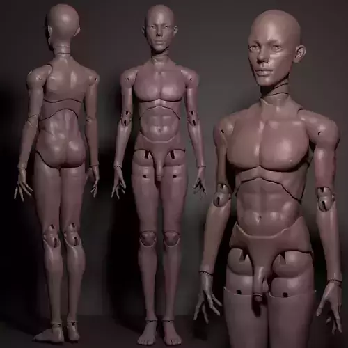 Model BN - Male BJD Doll STL OBJ 3D Print Model 3D model