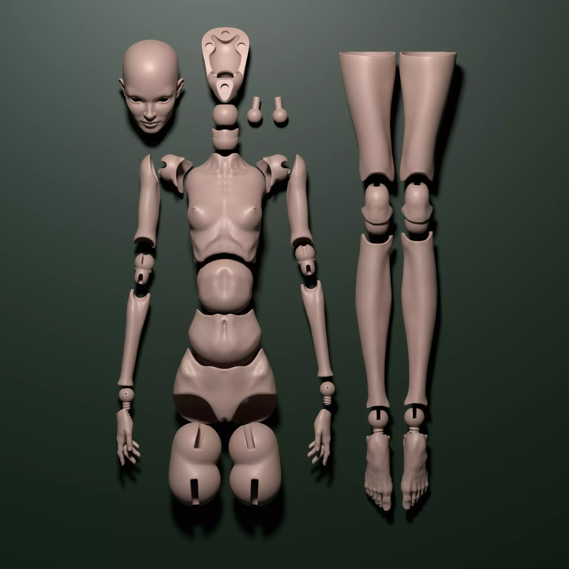 Model PM - Mini Female BJD Doll STL OBJ 3D Print Model 3D model_5