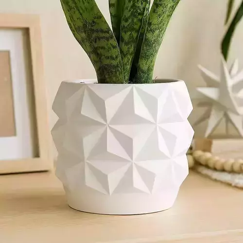 Geometric Plant Pot with Drainage No Supports