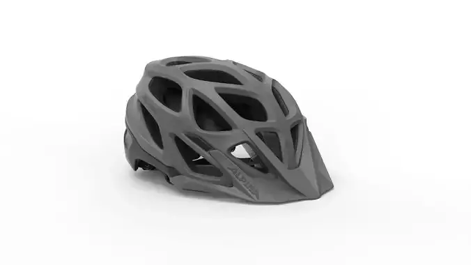 ALPINA Unisex-Adult helmet