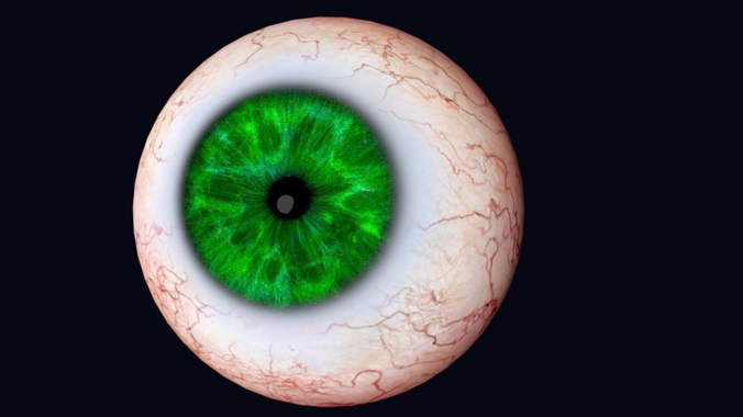 Realistic Eye Low-poly 3D model
