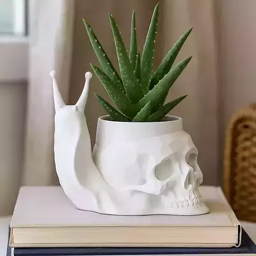 Snail Plant Pot with Drainage No Supports 3D print model