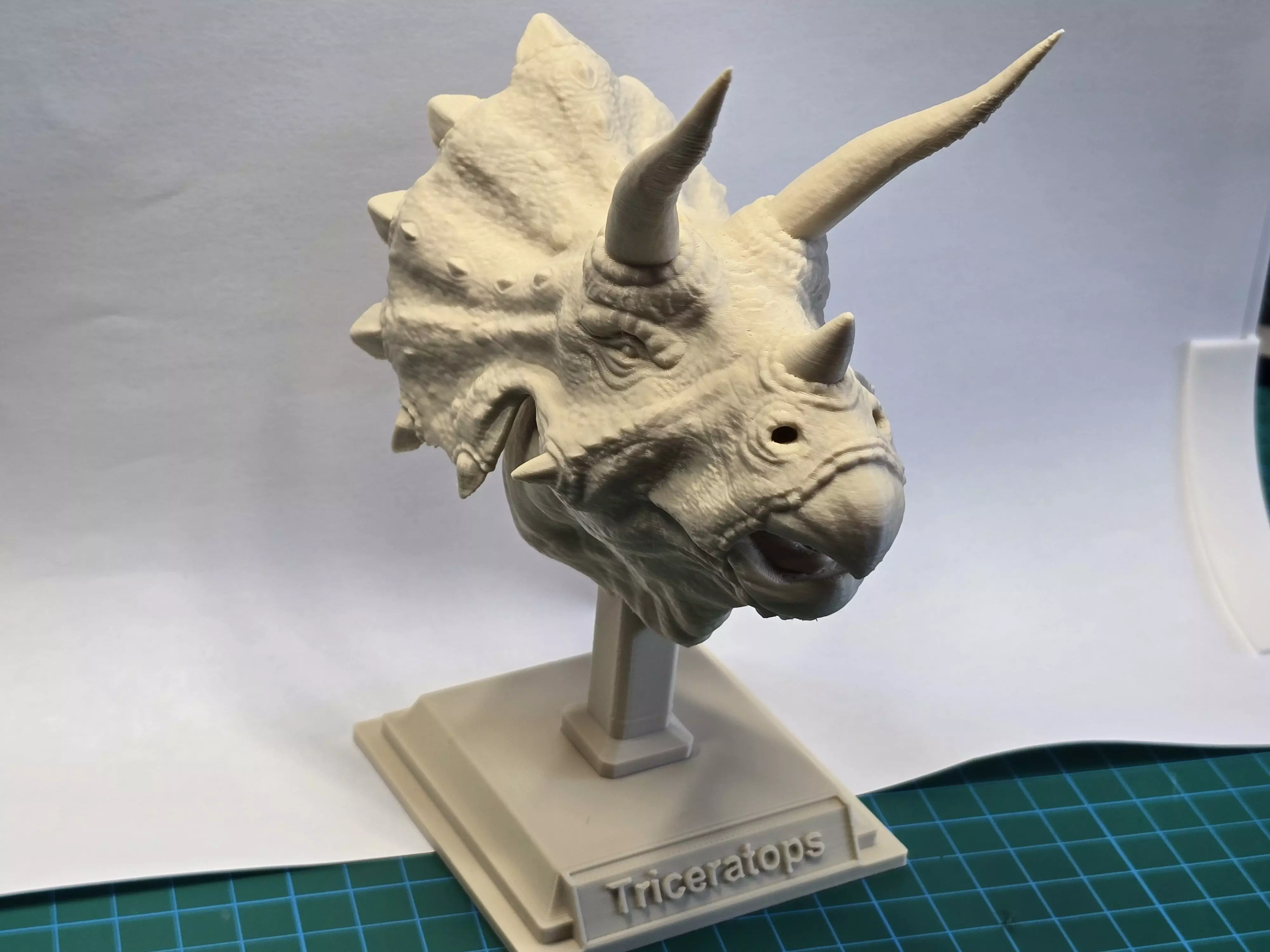 Triceratops Bust Highly Detailed 3D Model 3D print model_6