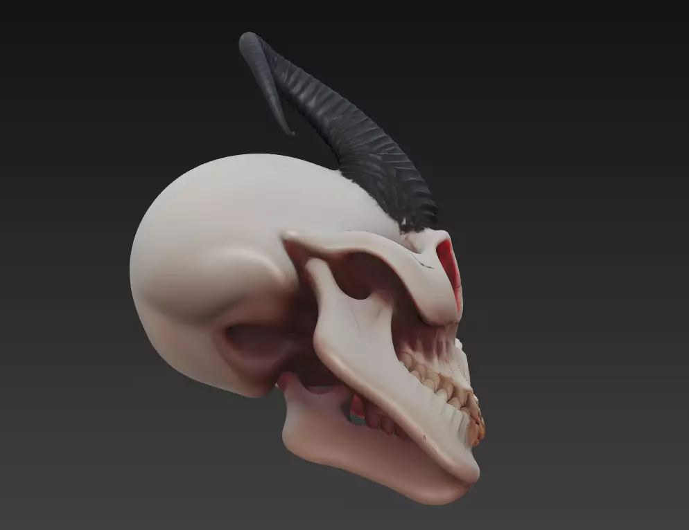 Horned Demon Skull Stylized Evil Fantasy Sculpture 3D Model 3D print model_8