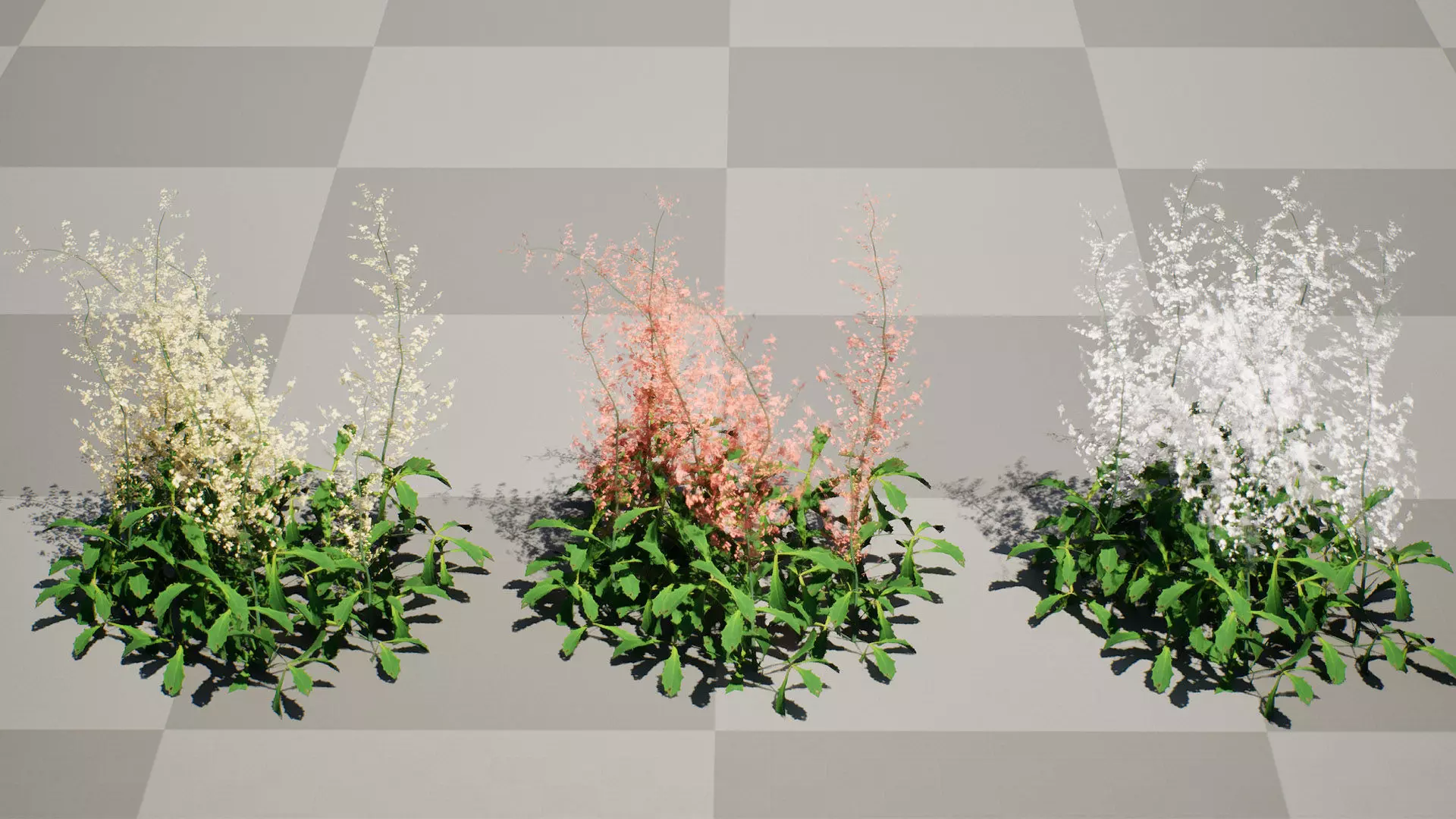 Hennie Graafland Astilbe 3D Model Low-poly 3D model_2