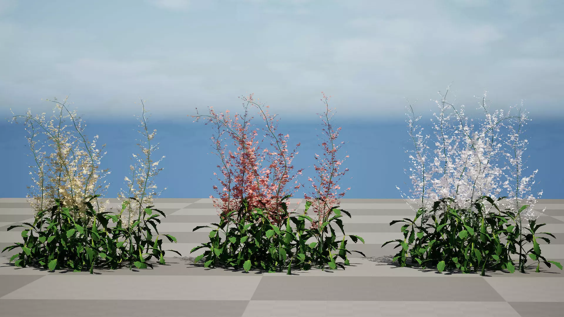 Hennie Graafland Astilbe 3D Model Low-poly 3D model_9