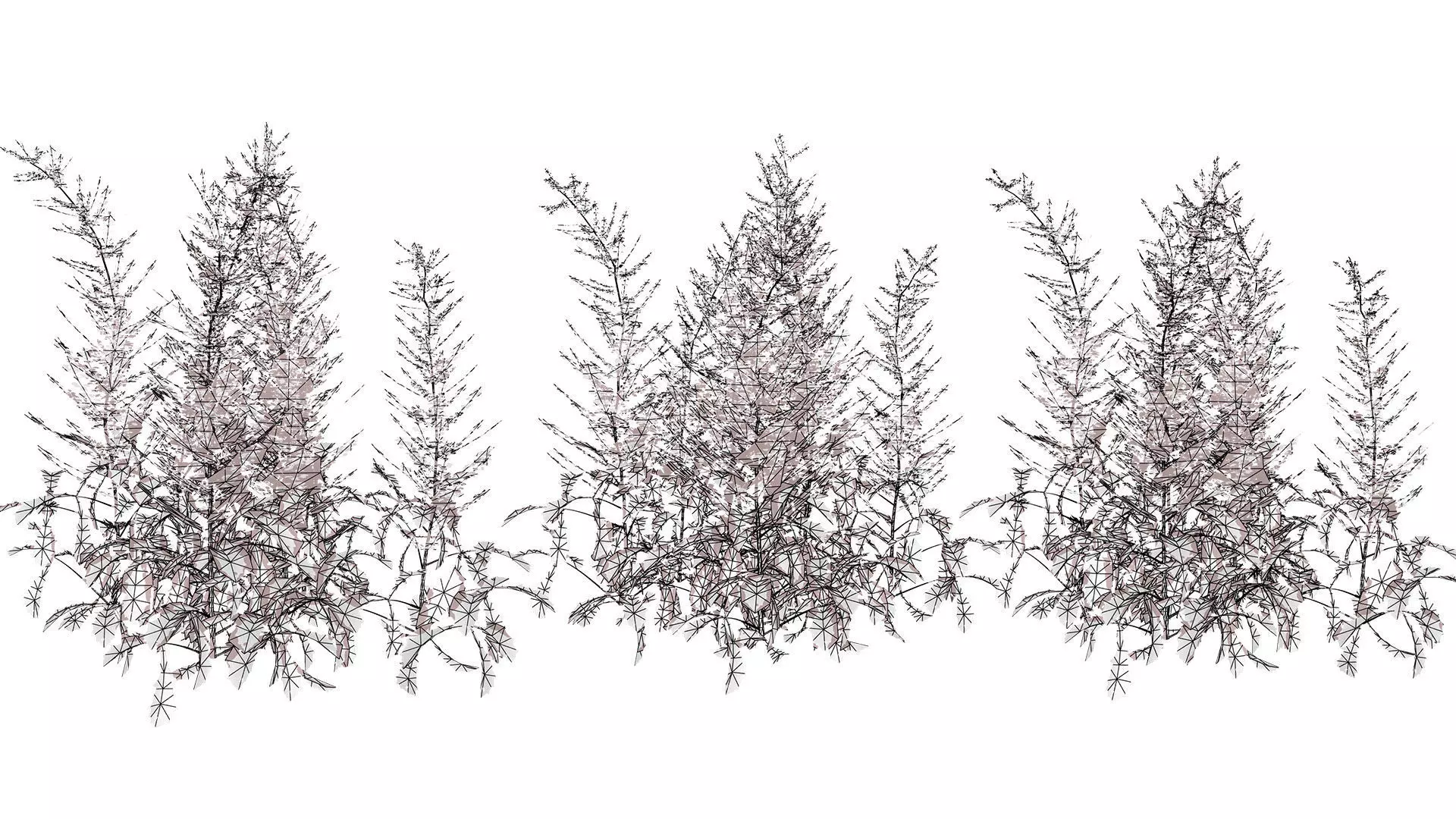 Hennie Graafland Astilbe 3D Model Low-poly 3D model_11