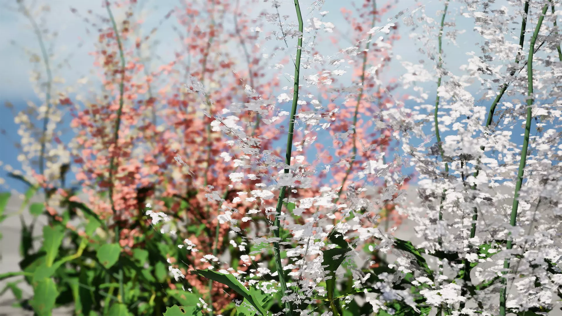 Hennie Graafland Astilbe 3D Model Low-poly 3D model_10