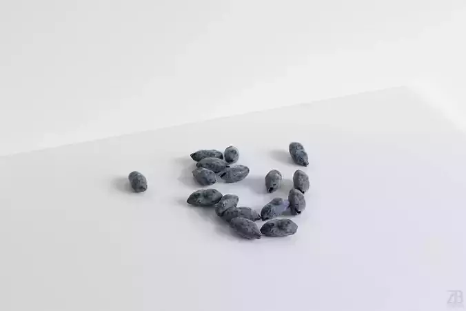 Honeyberry 3D model