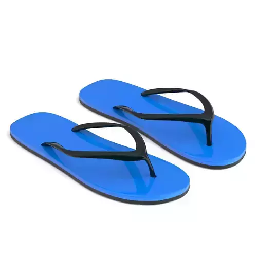 blue Flip Flop
