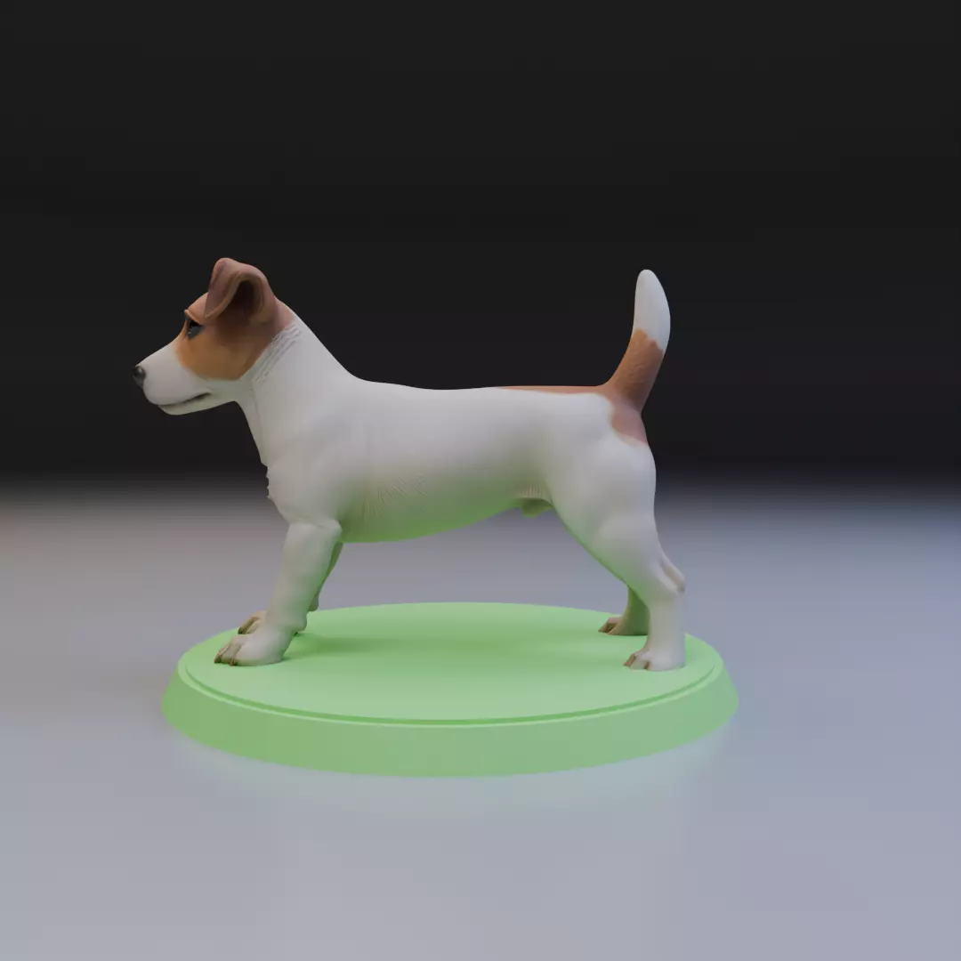 Jack Russell Terrier 3D print model_4