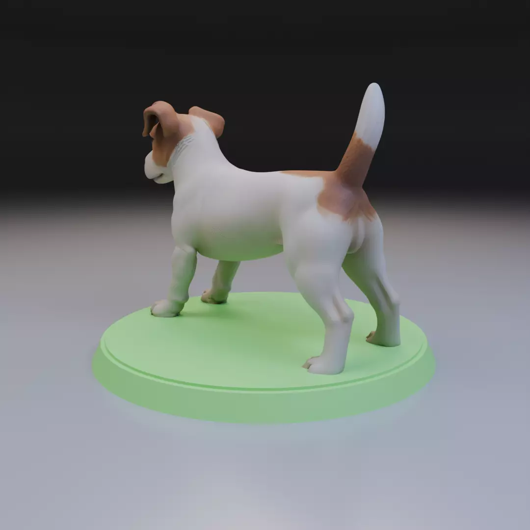 Jack Russell Terrier 3D print model_8