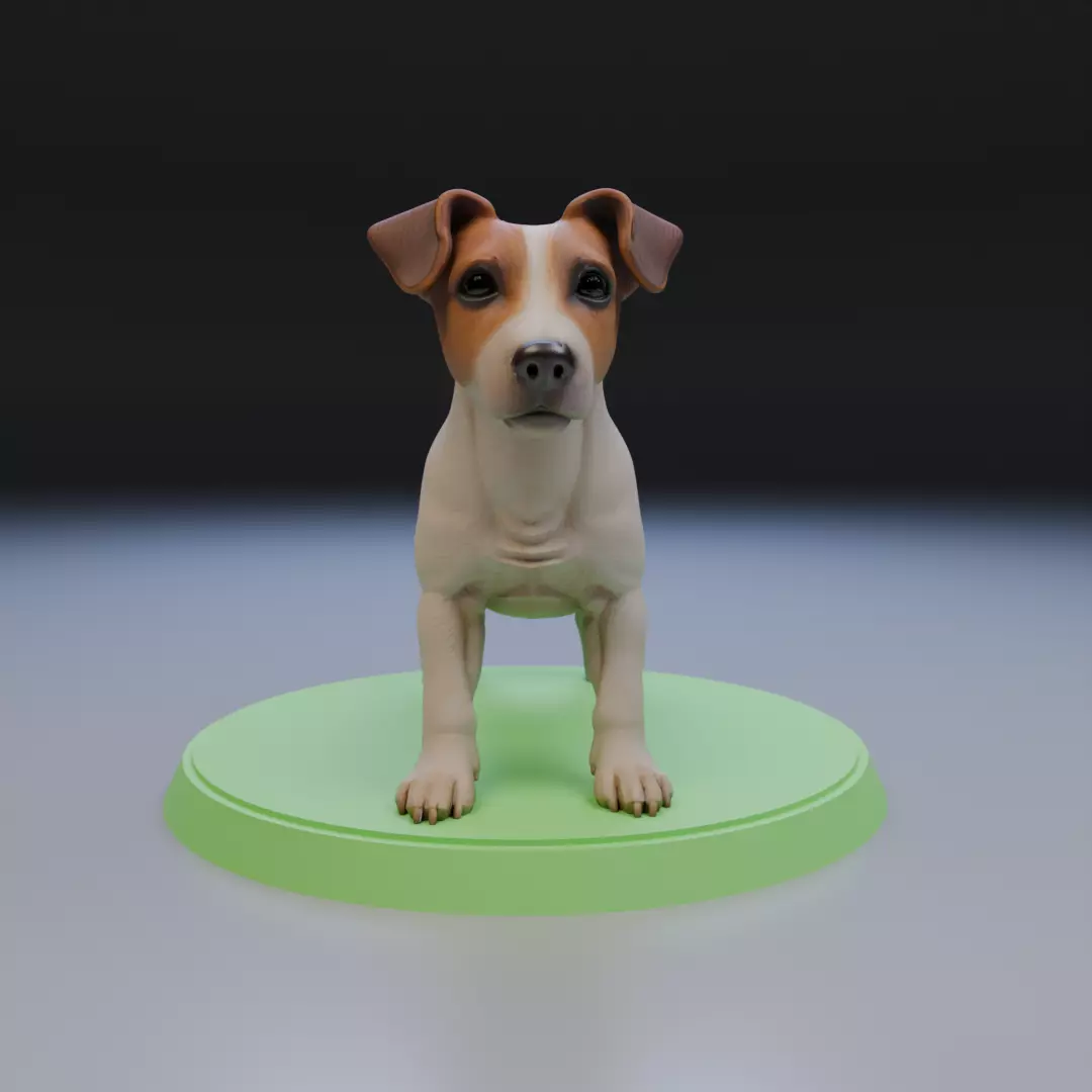Jack Russell Terrier 3D print model_16