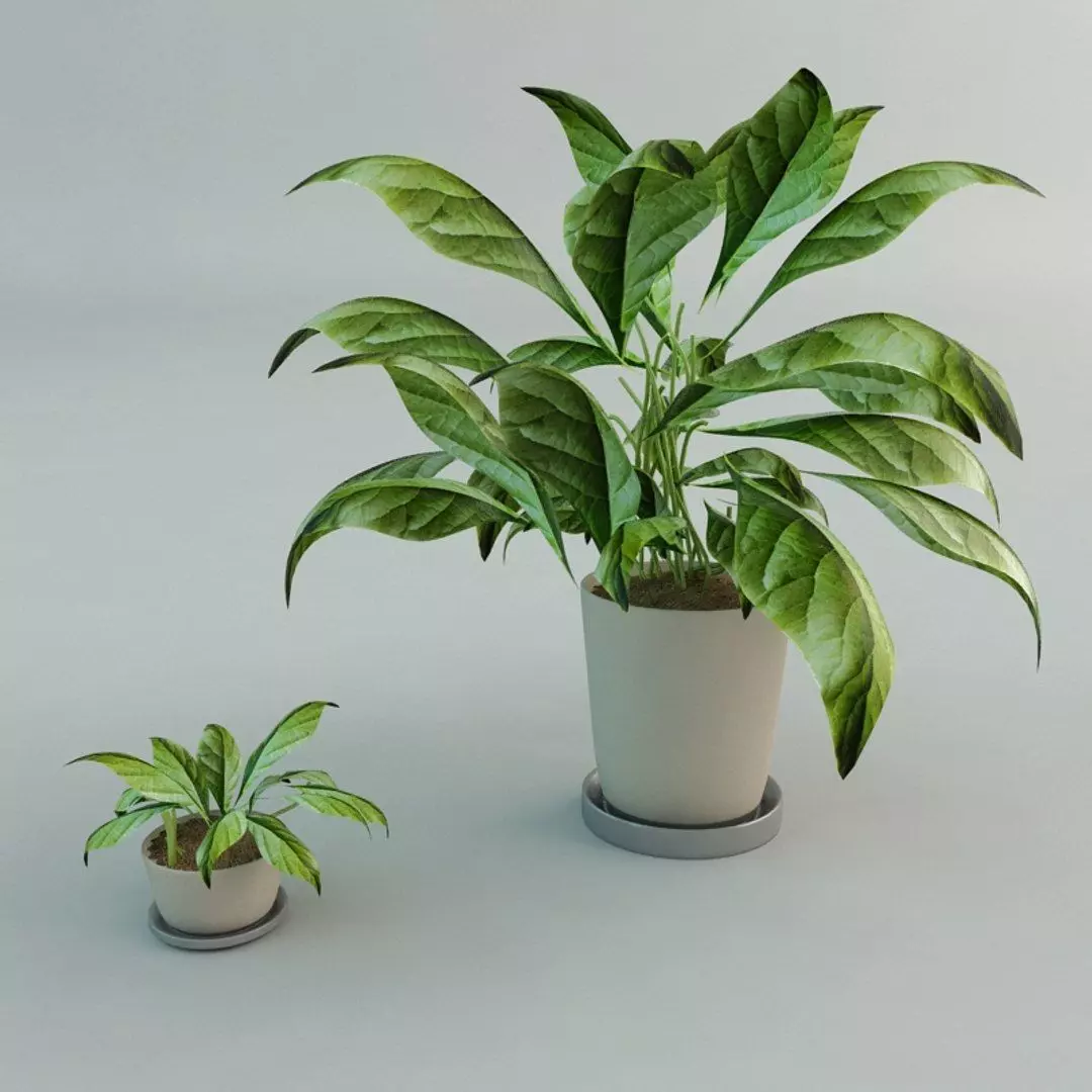 Flower Arrangement 3D Model 3D model_0