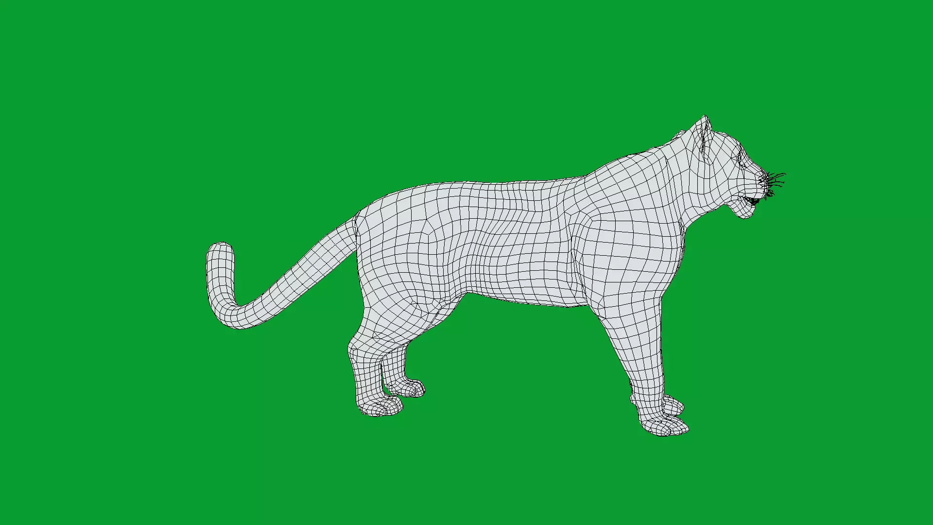 Snow Leopard Low-poly 3D model_34