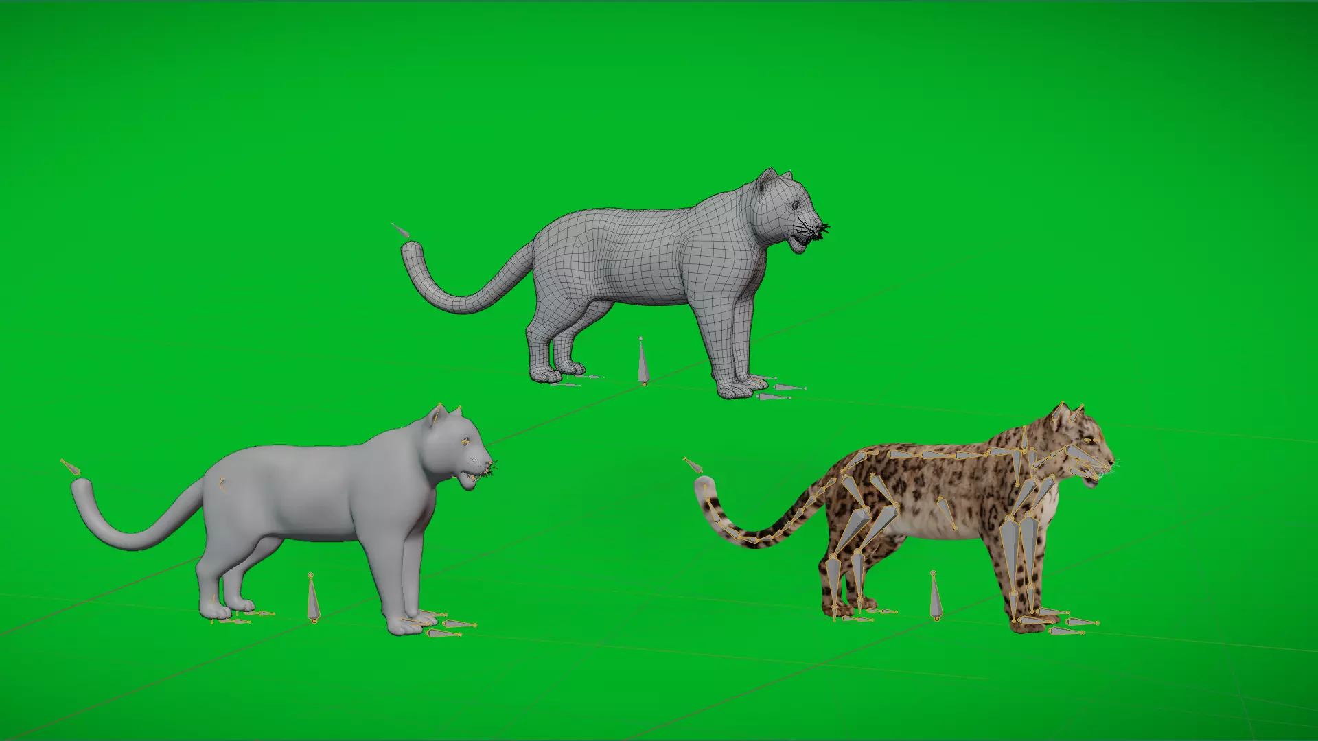 Snow Leopard Low-poly 3D model_4