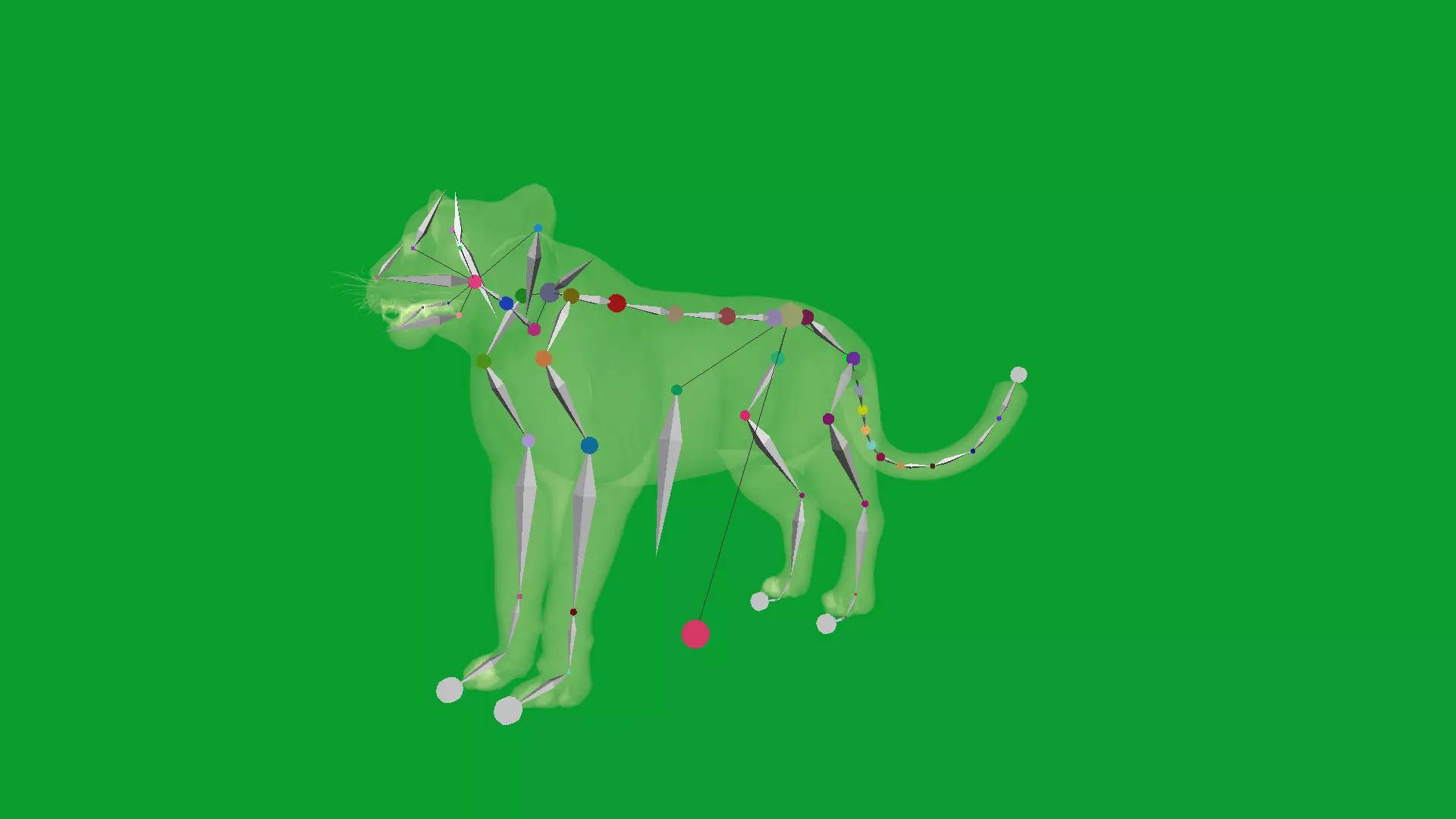 Snow Leopard Low-poly 3D model_42