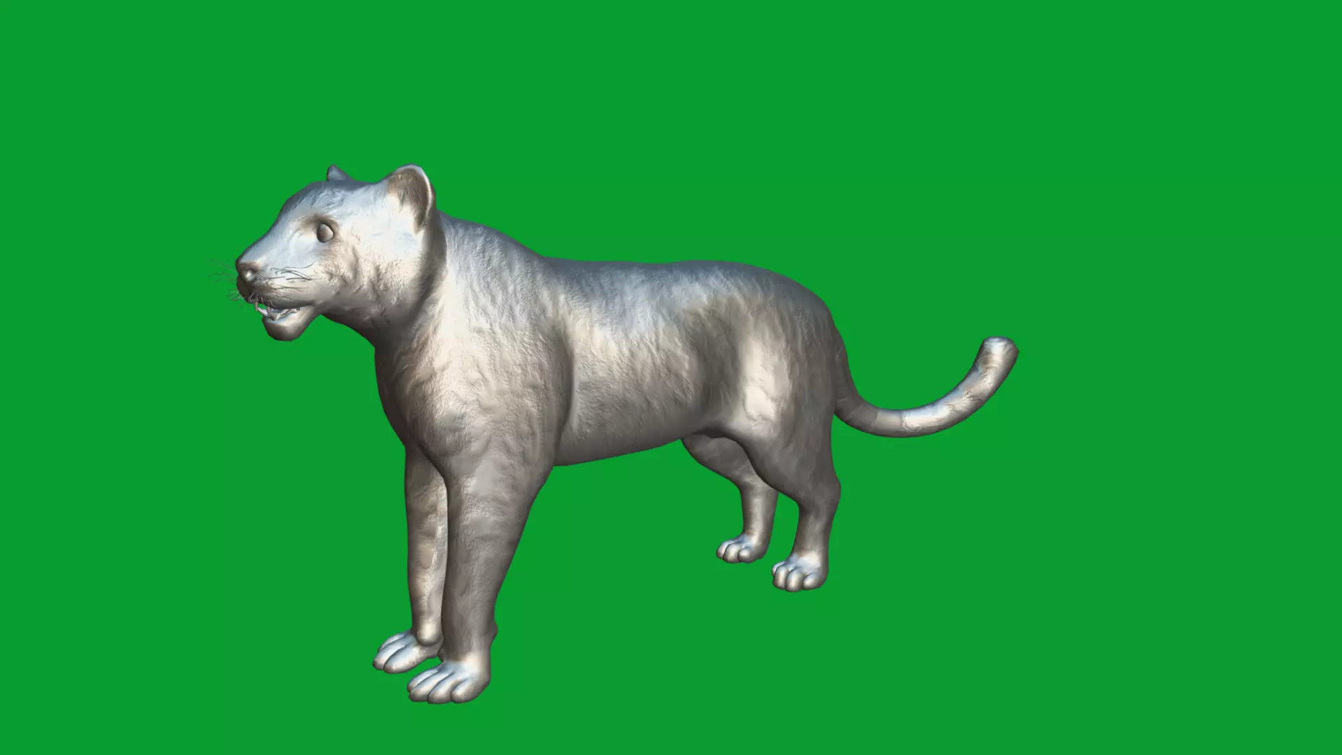 Snow Leopard Low-poly 3D model_26