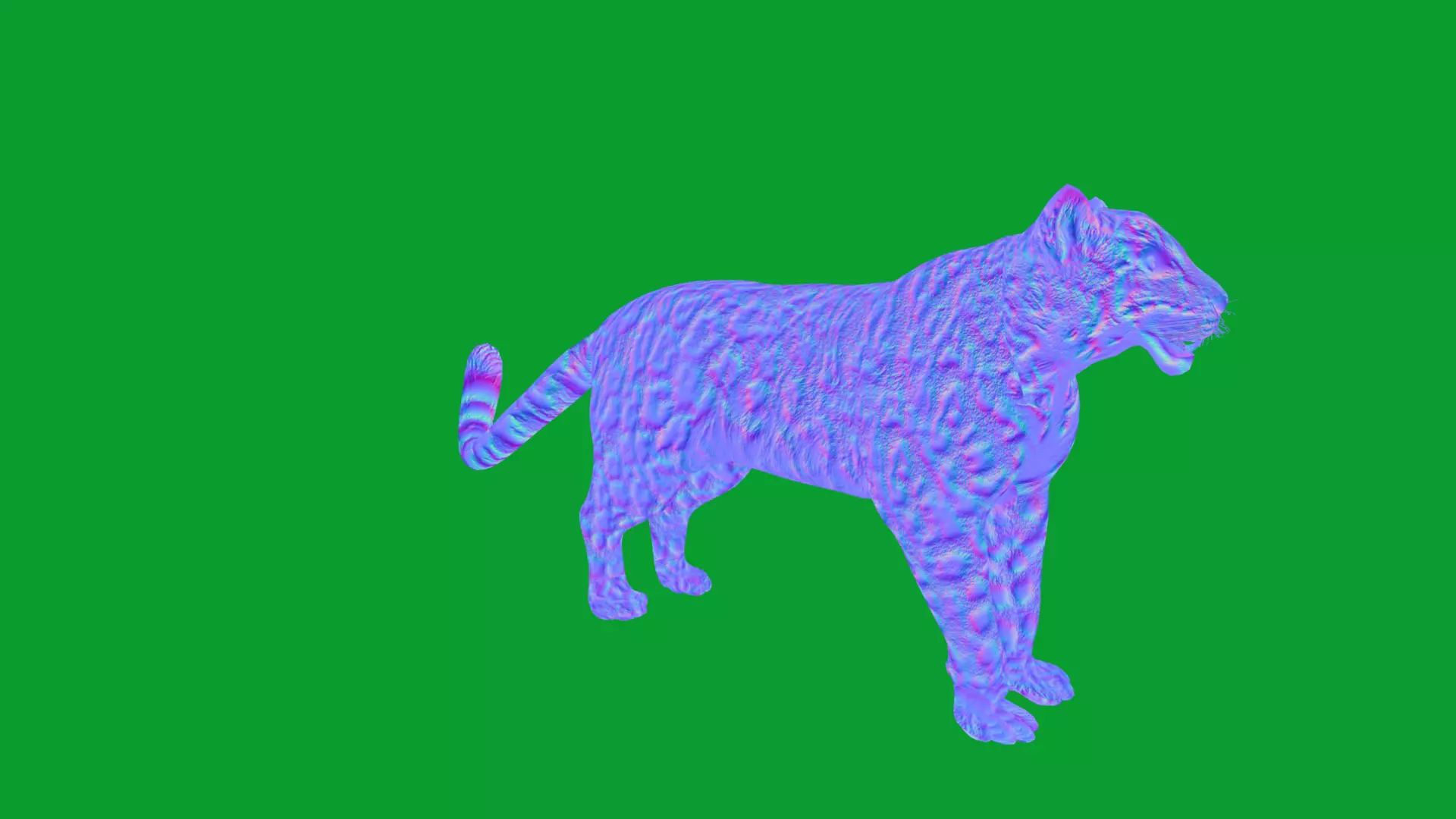 Snow Leopard Low-poly 3D model_48