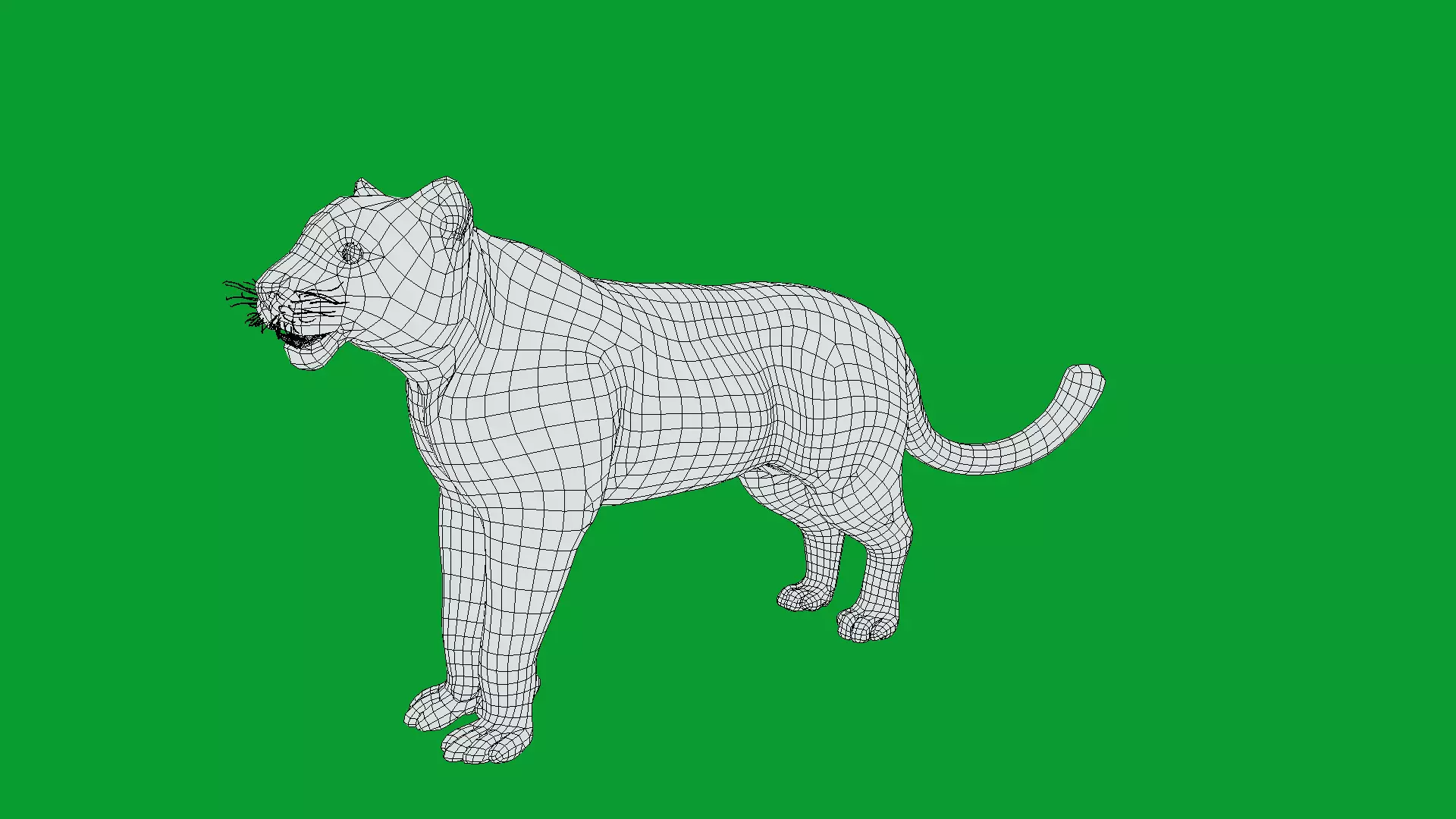 Snow Leopard Low-poly 3D model_32