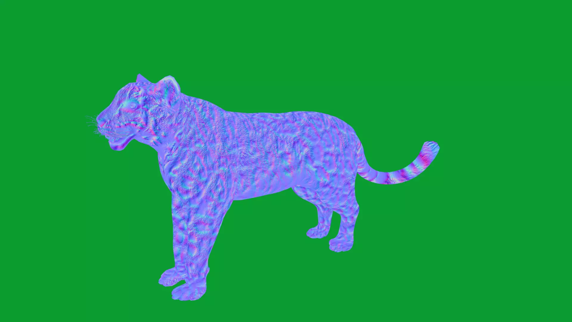 Snow Leopard Low-poly 3D model_46