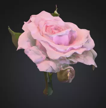 Rose flower 3D model_3