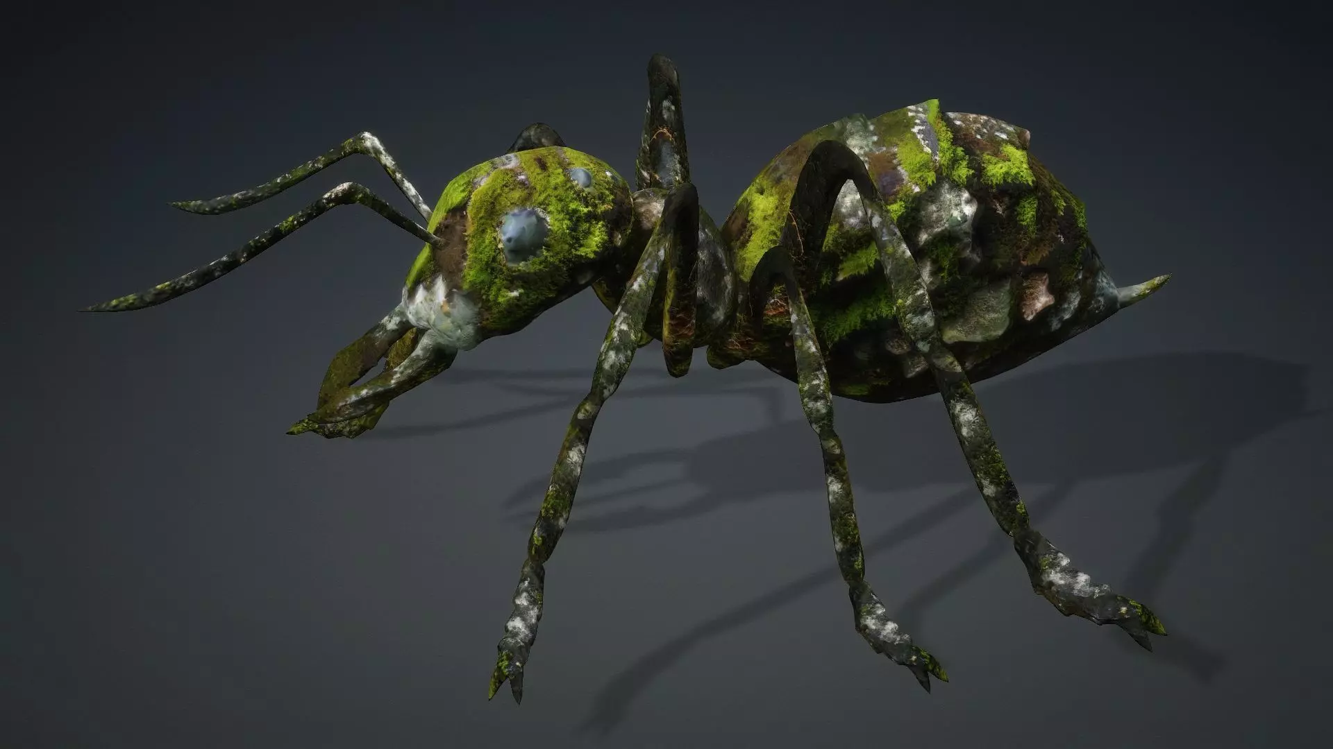 Ant-V3b 3D model_11