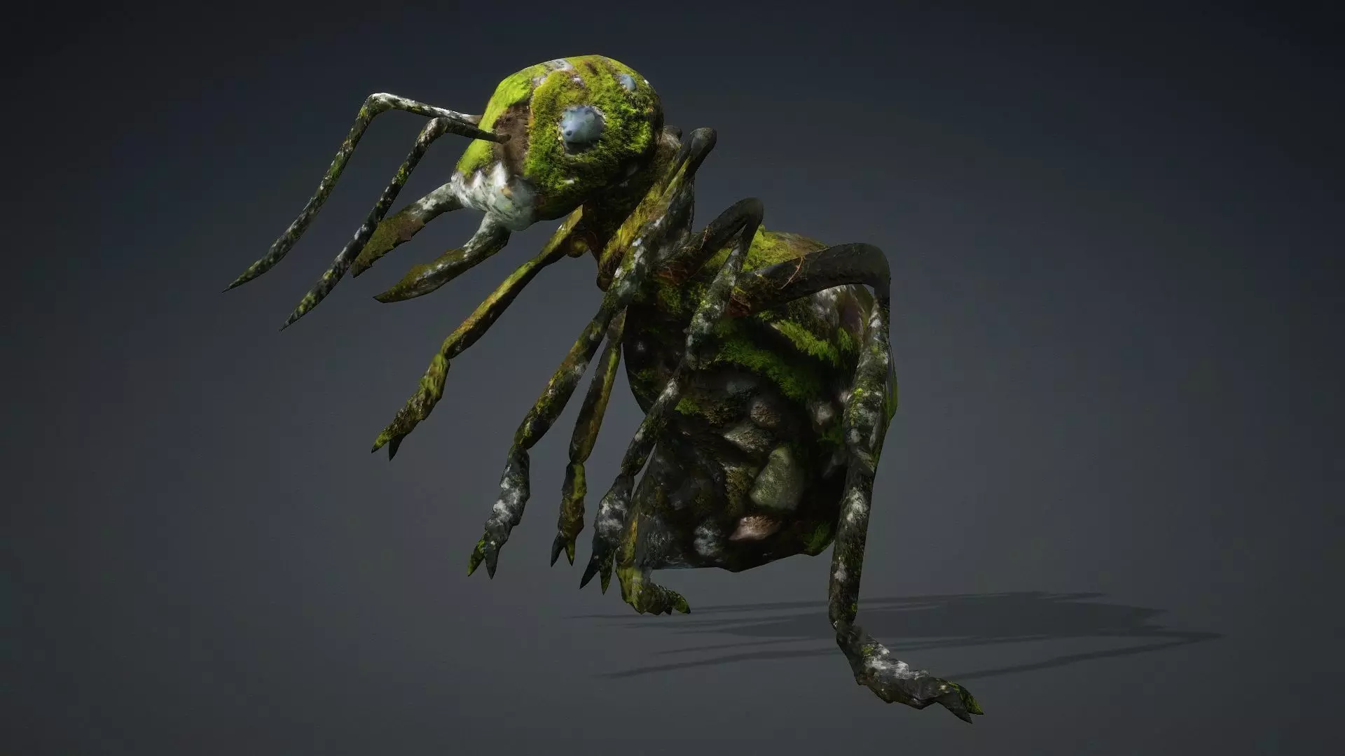 Ant-V3b 3D model_5