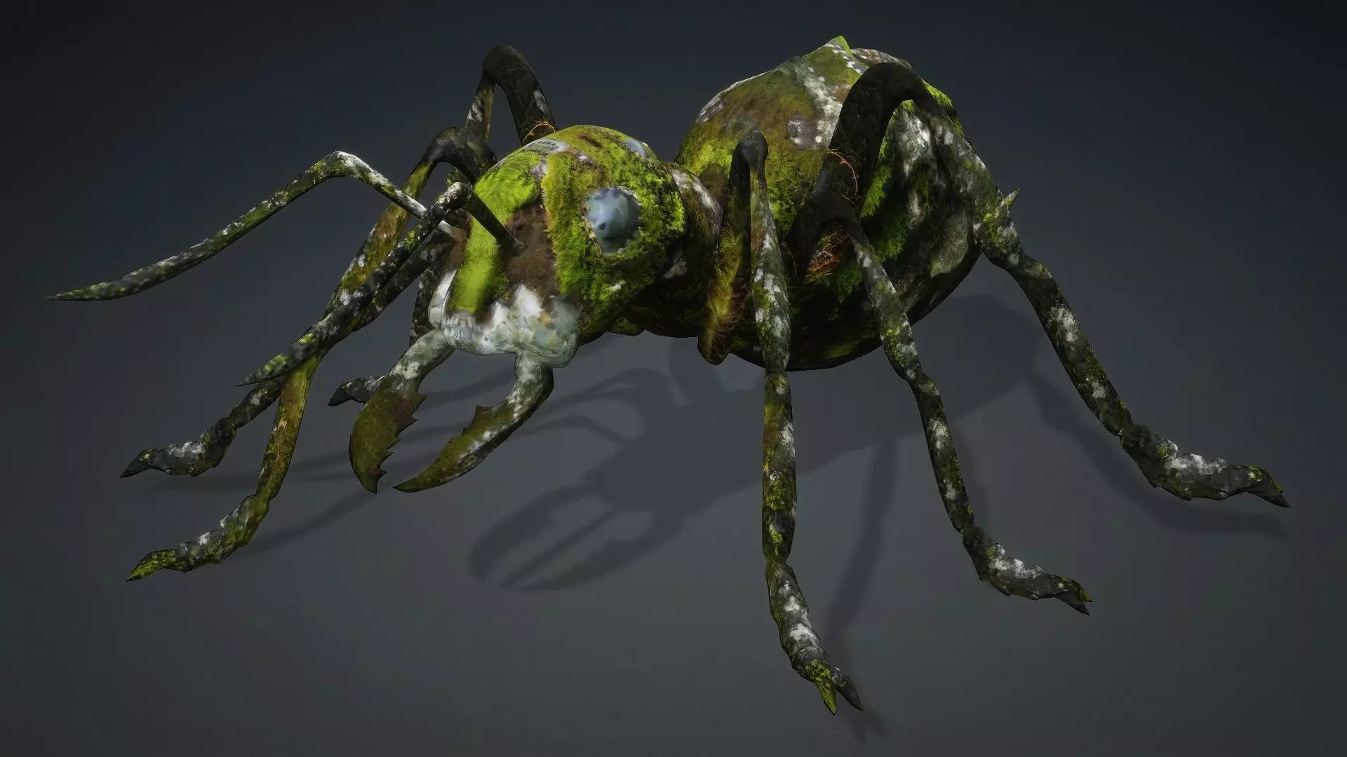 Ant-V3b 3D model_3