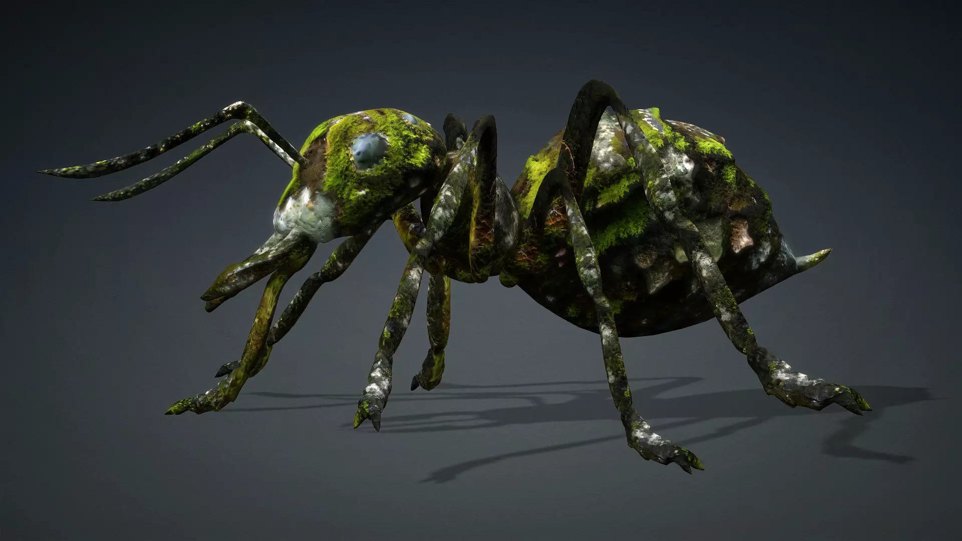 Ant-V3b 3D model_2