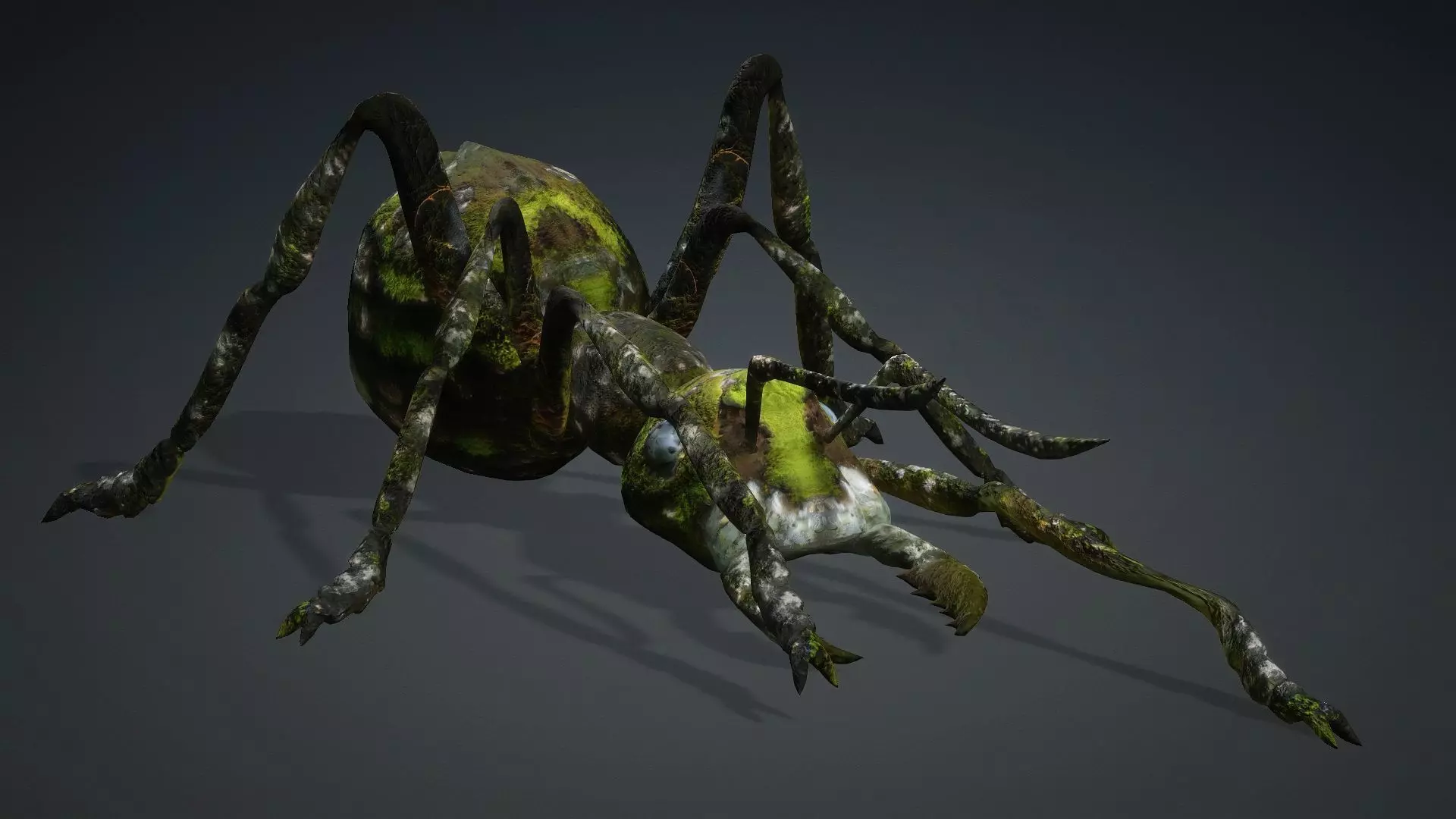 Ant-V3b 3D model_7