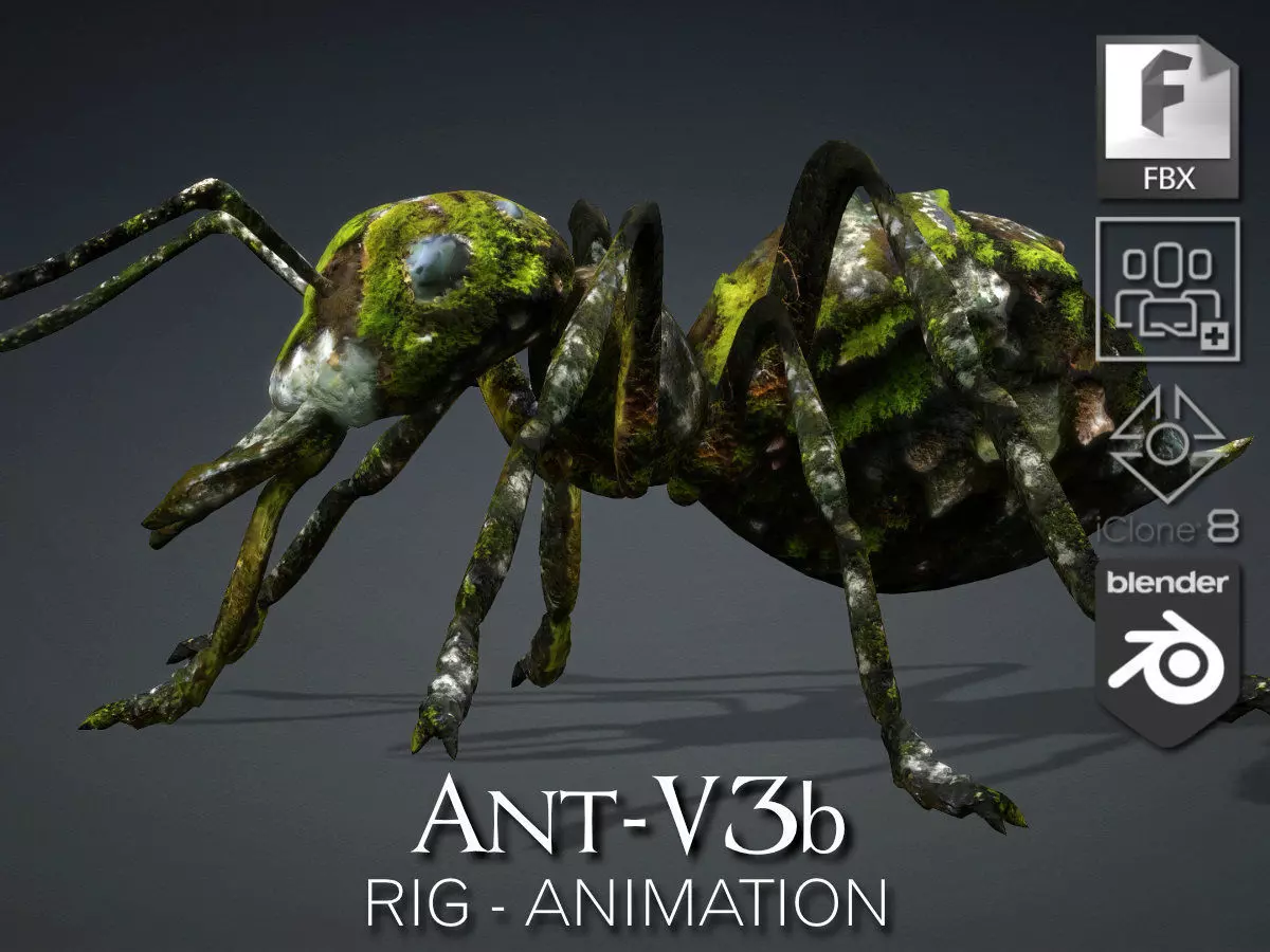 Ant-V3b 3D model_0