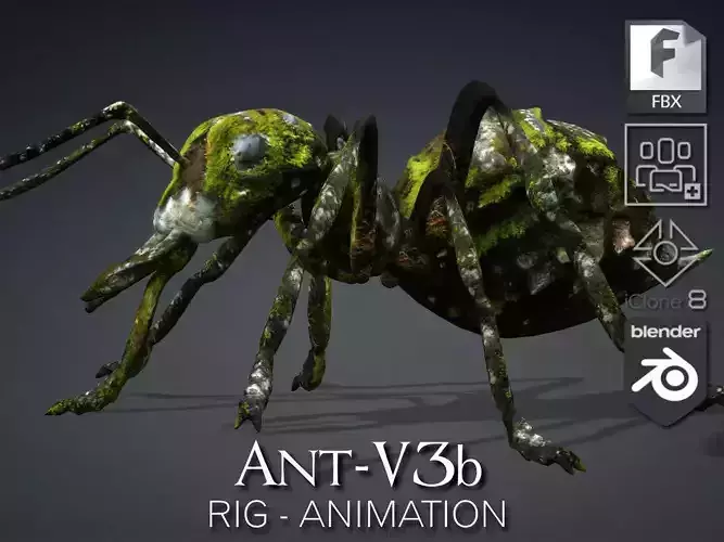 Ant-V3b 3D model