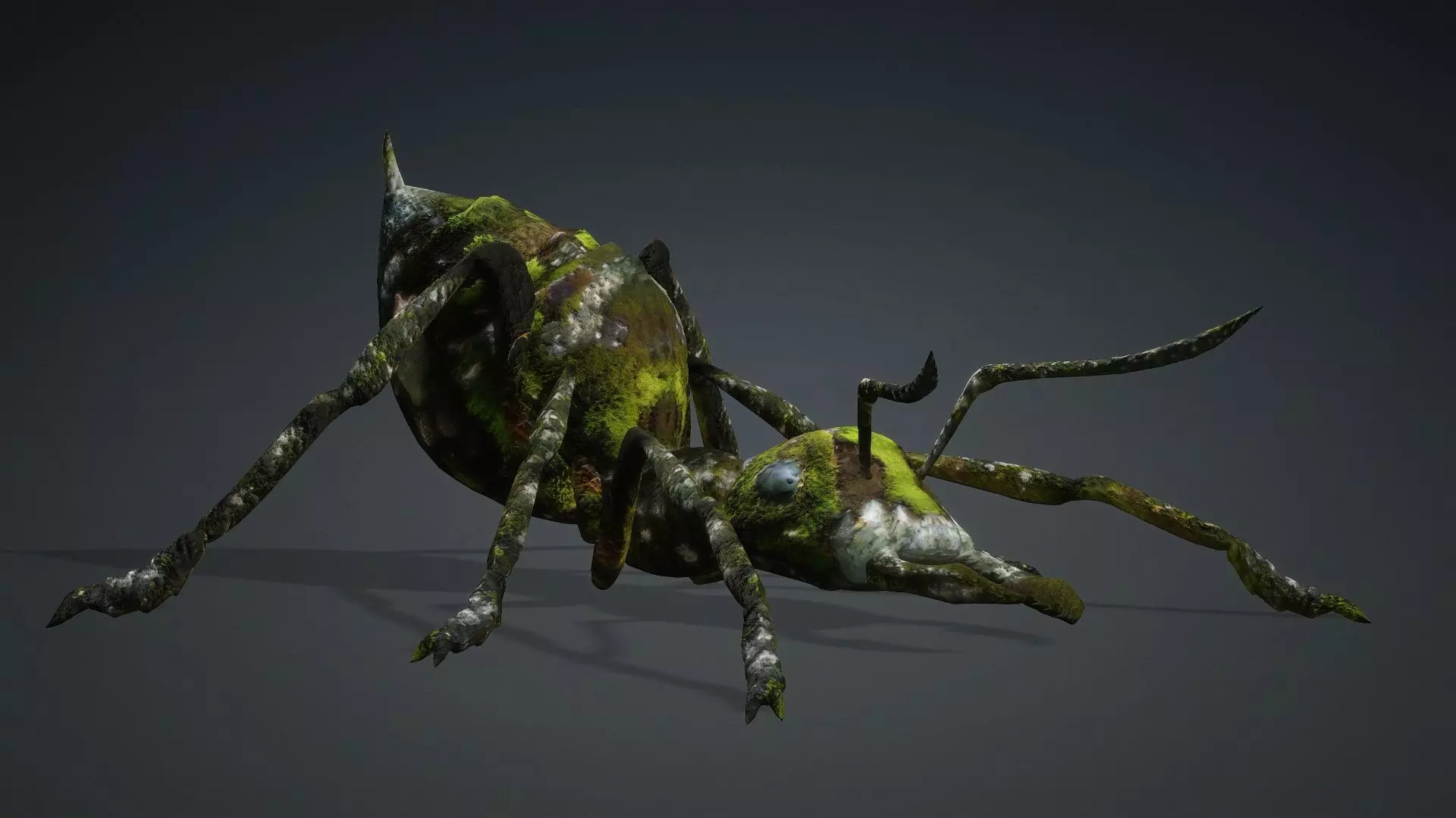 Ant-V3b 3D model_15