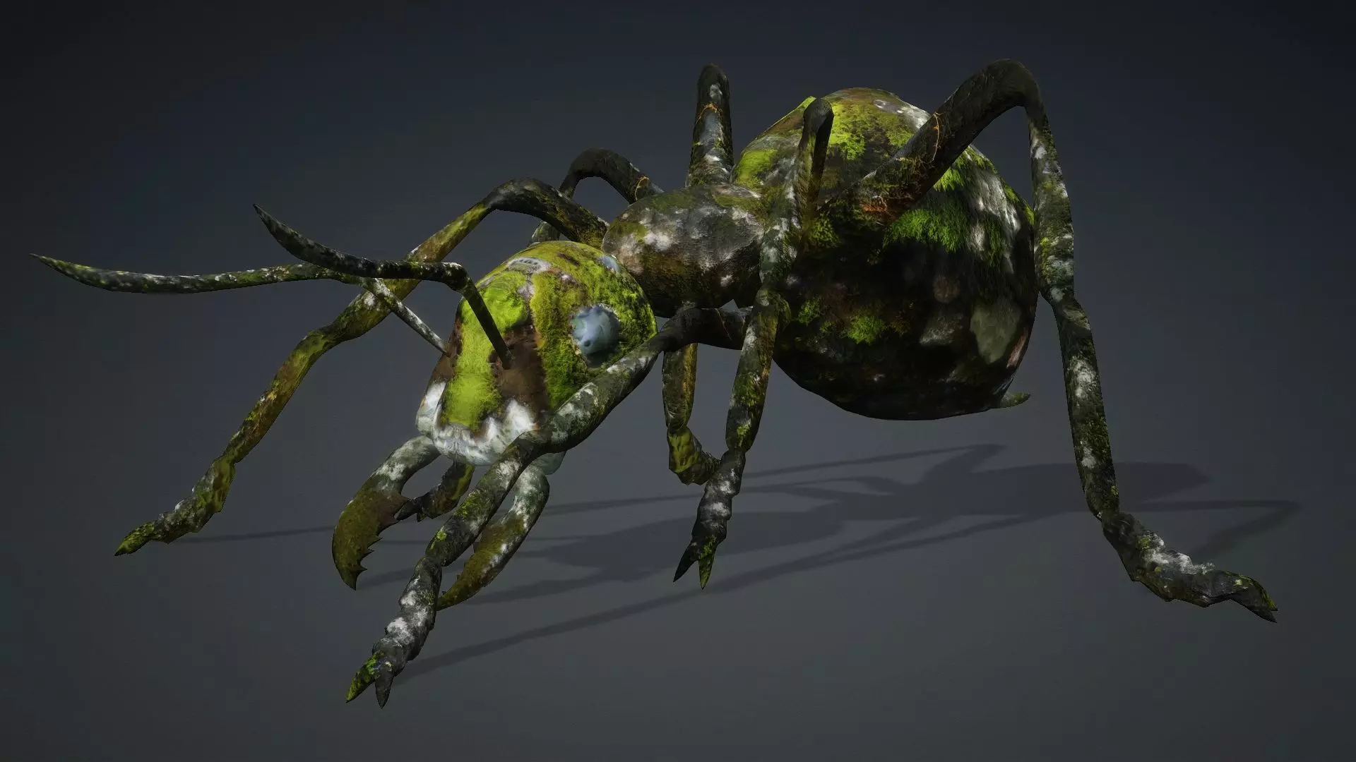 Ant-V3b 3D model_4