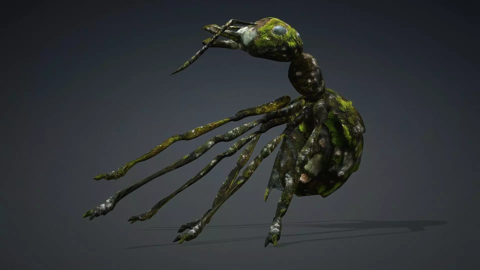 Ant-V3b 3D model_17