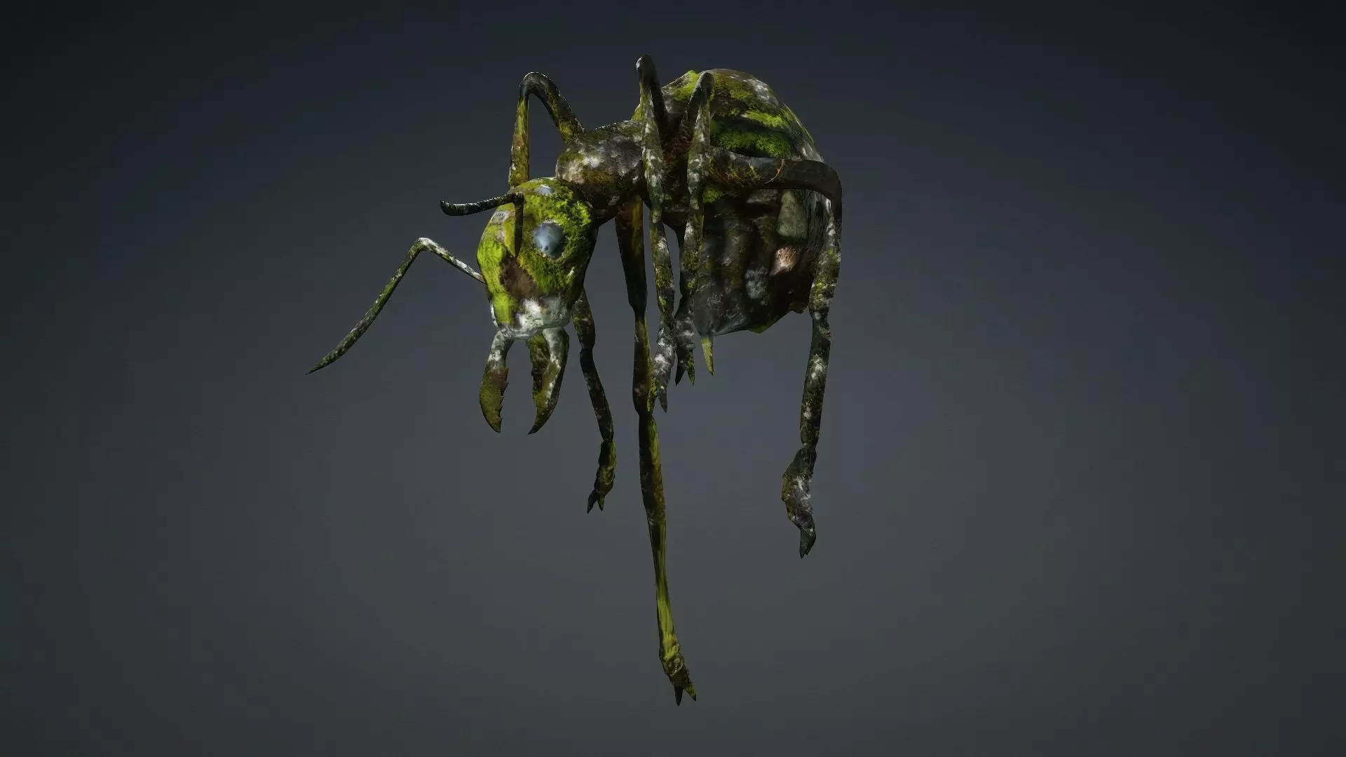 Ant-V3b 3D model_8